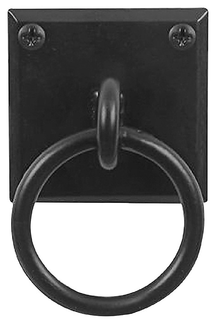 Plate Mount Ring Pull