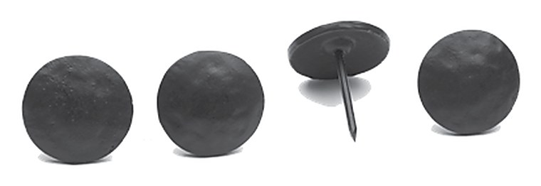 Lynn Cove Clavos